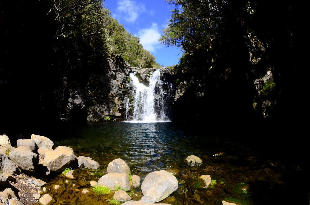 Vila Toca Funchal  Kültér fotó
