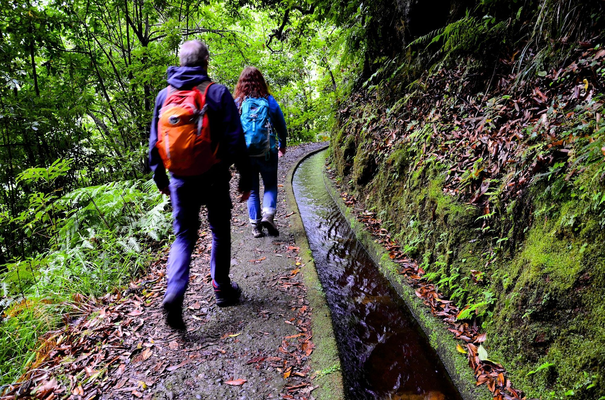 Vila Toca Funchal  Kültér fotó